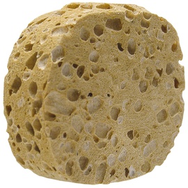 Natural sea sponge